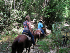 Belize-Interior-Trailblazer Jungle Ride